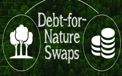 Debt For Nature Swap – how do they work? 2025